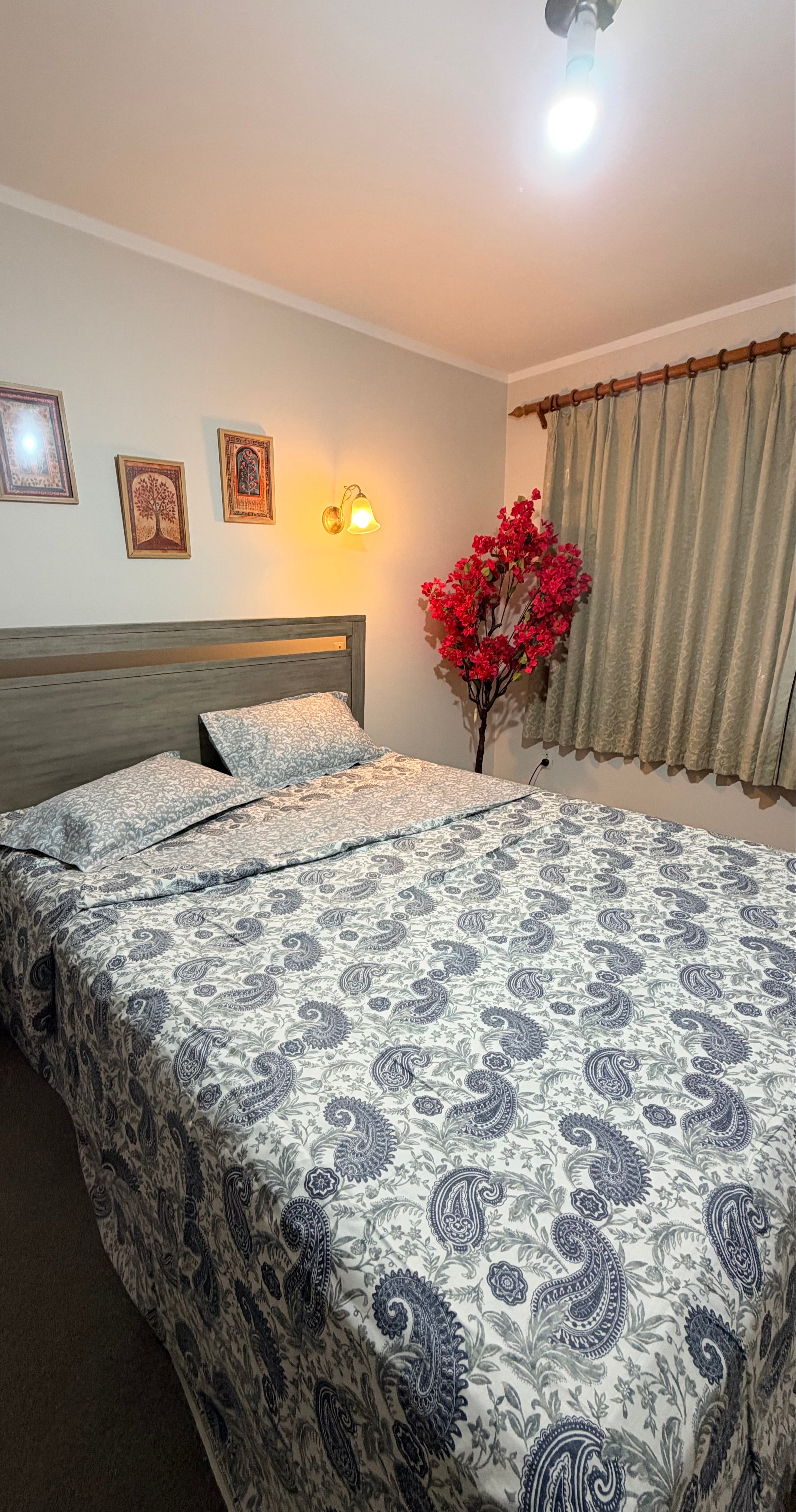 Royal Indigo Paisley Dohar & Bedsheet Set - King / Super King / California King